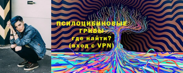 бошки Корсаков