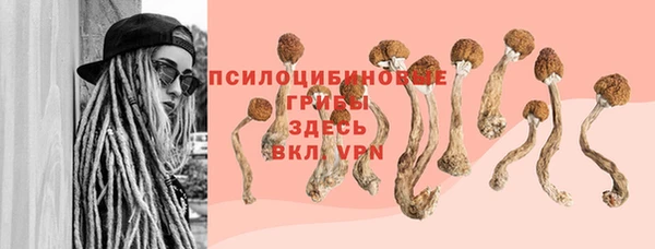 ECSTASY Коряжма