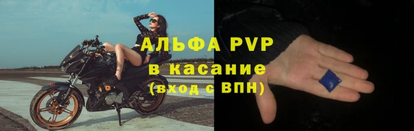 PSILOCYBIN Костерёво