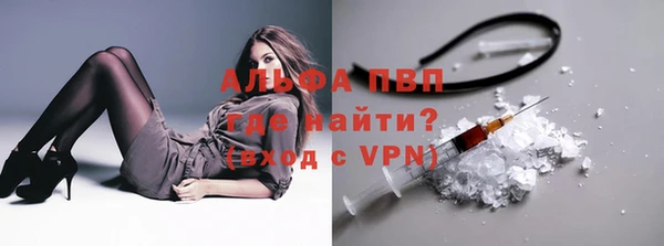 PSILOCYBIN Костерёво