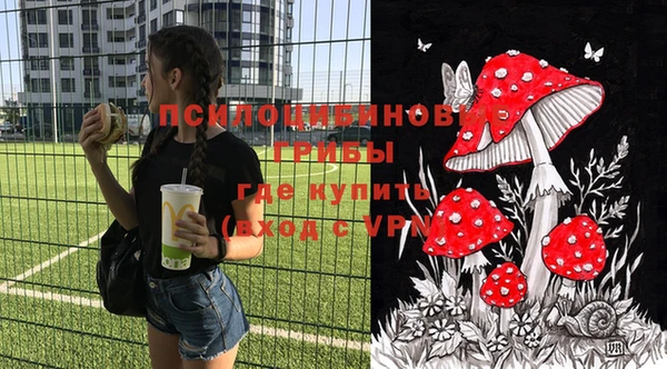бошки Корсаков