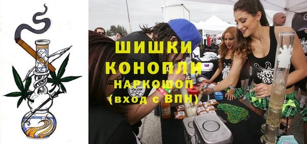 PSILOCYBIN Костерёво