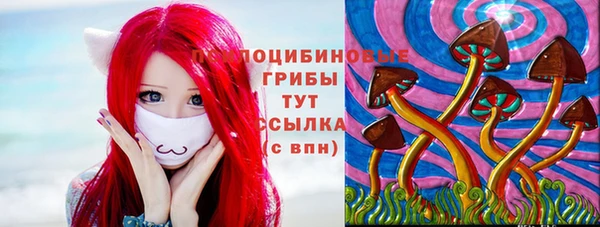 бошки Корсаков
