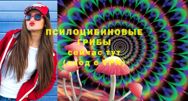 PSILOCYBIN Костерёво