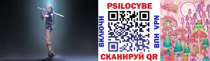 Купить  Цимлянск  Галлюциногенные грибы Psilocybe 